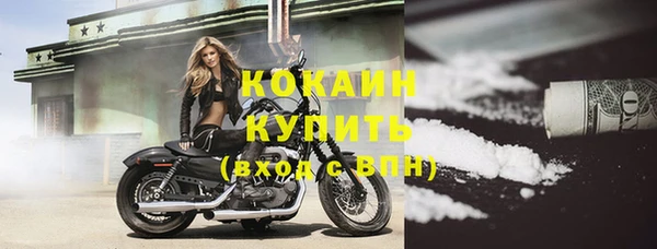 шишки Бронницы