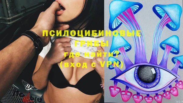 шишки Бронницы