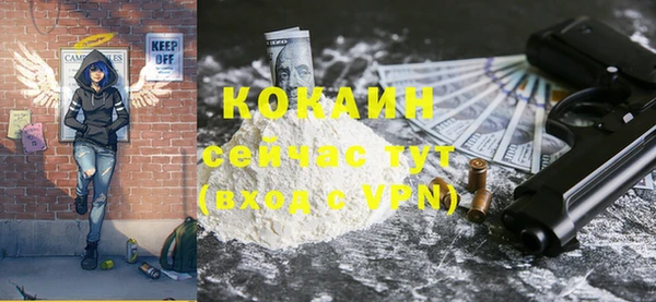 шишки Бронницы