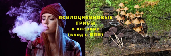mdpv Бородино