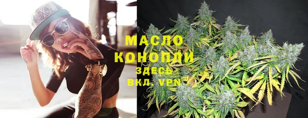 mdpv Бородино
