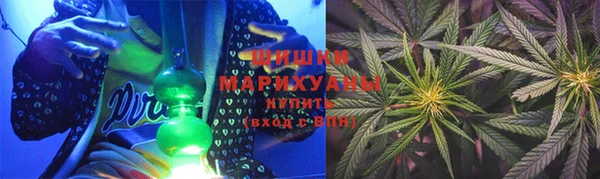 mdpv Бородино