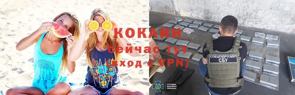 mdpv Бородино