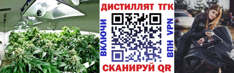 ТГК концентрат Вельск