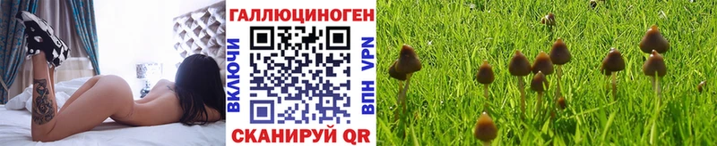 Галлюциногенные грибы ЛСД  наркошоп  Вельск 